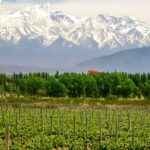 Visitas guiadas en Valle de Uco