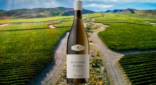 Zuccardi
